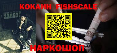 гашик Сланцы