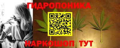 гашик Сланцы