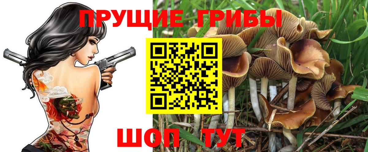 наркота  Псилоцибиновые грибы прущие грибы  Отрадный  Вход с VPN  Галлюциногенные грибы мухоморы 
